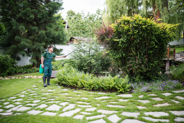 Best Residential Pest Control  in Two Rivers, WI