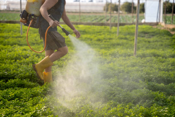 Best Pest Prevention Services  in Two Rivers, WI