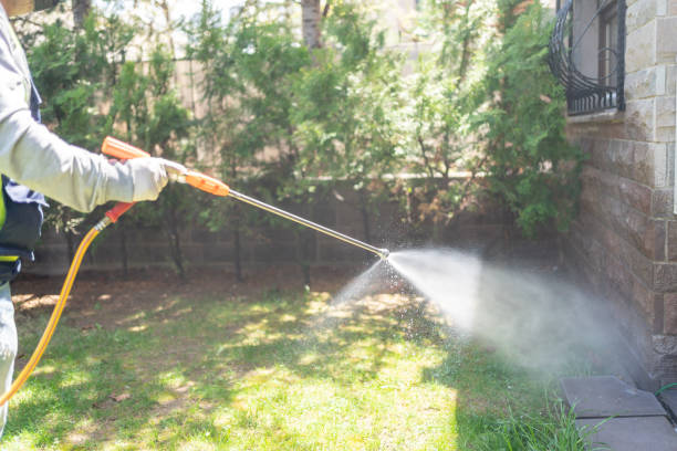 Best Wasp Removal Services  in Two Rivers, WI