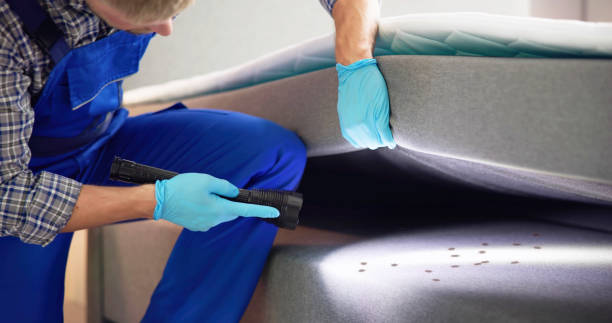 Best Termite Control Services  in Two Rivers, WI