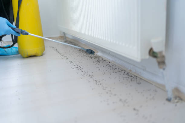 Best Pest Control for Businesses  in Two Rivers, WI