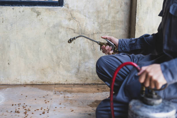 Best Affordable Pest Control Services  in Two Rivers, WI